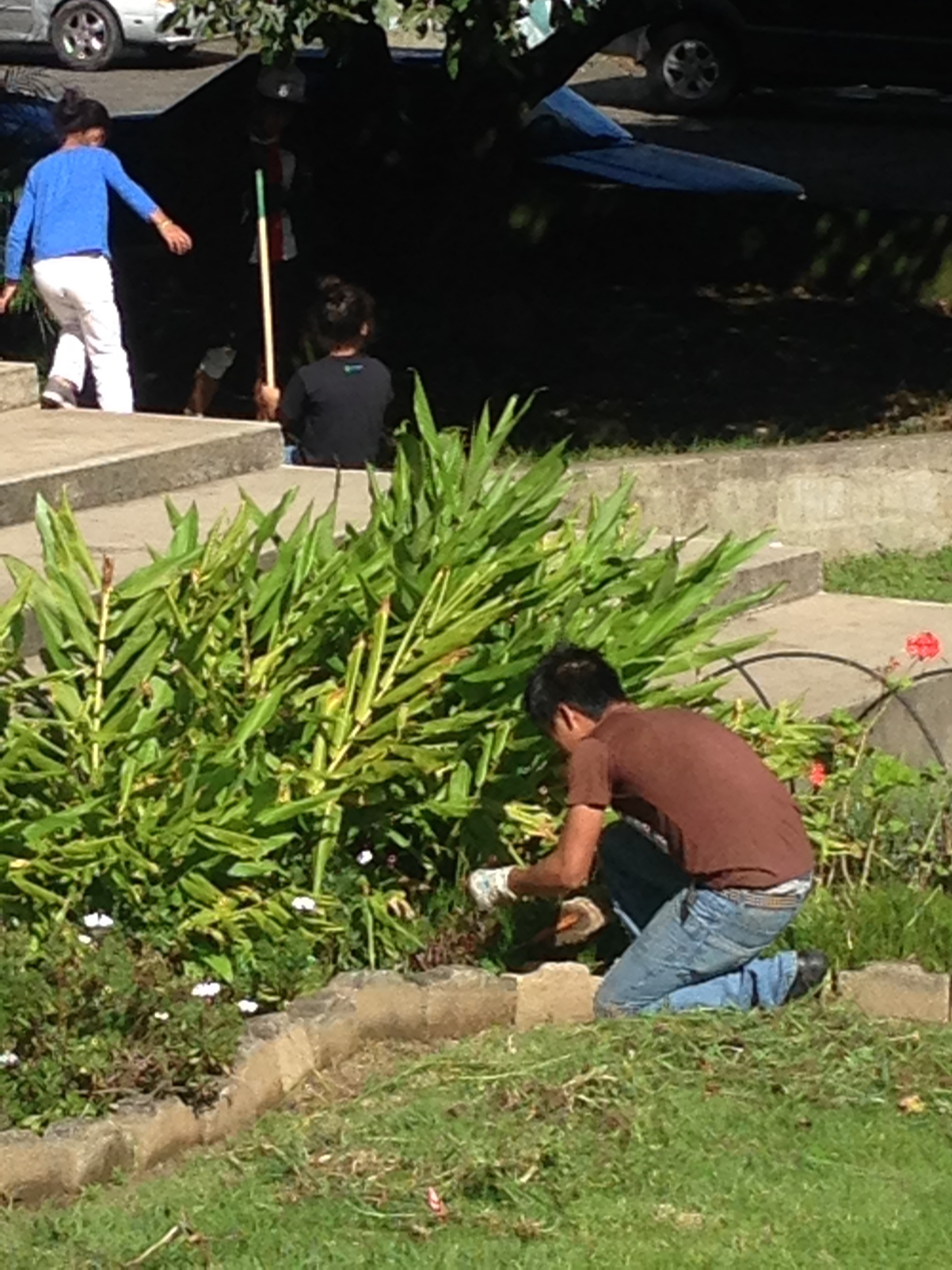 The boys help Dottie to have a beautiful yard, plants and flowers.