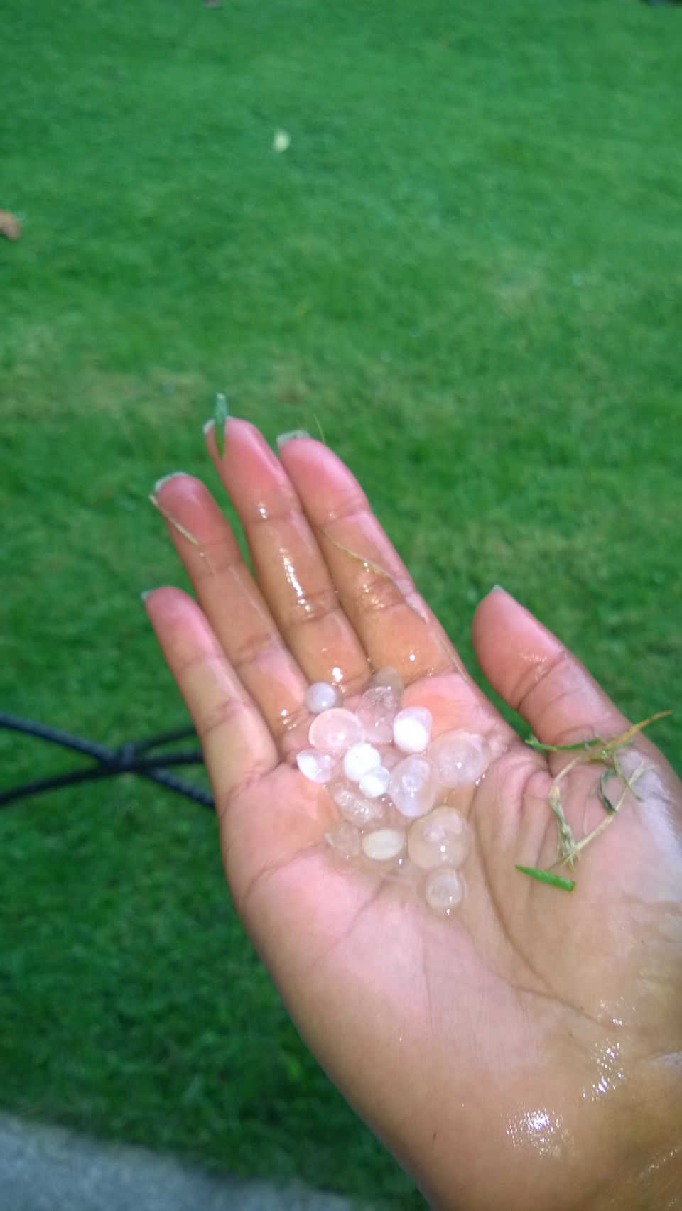 The hail fail yesterday