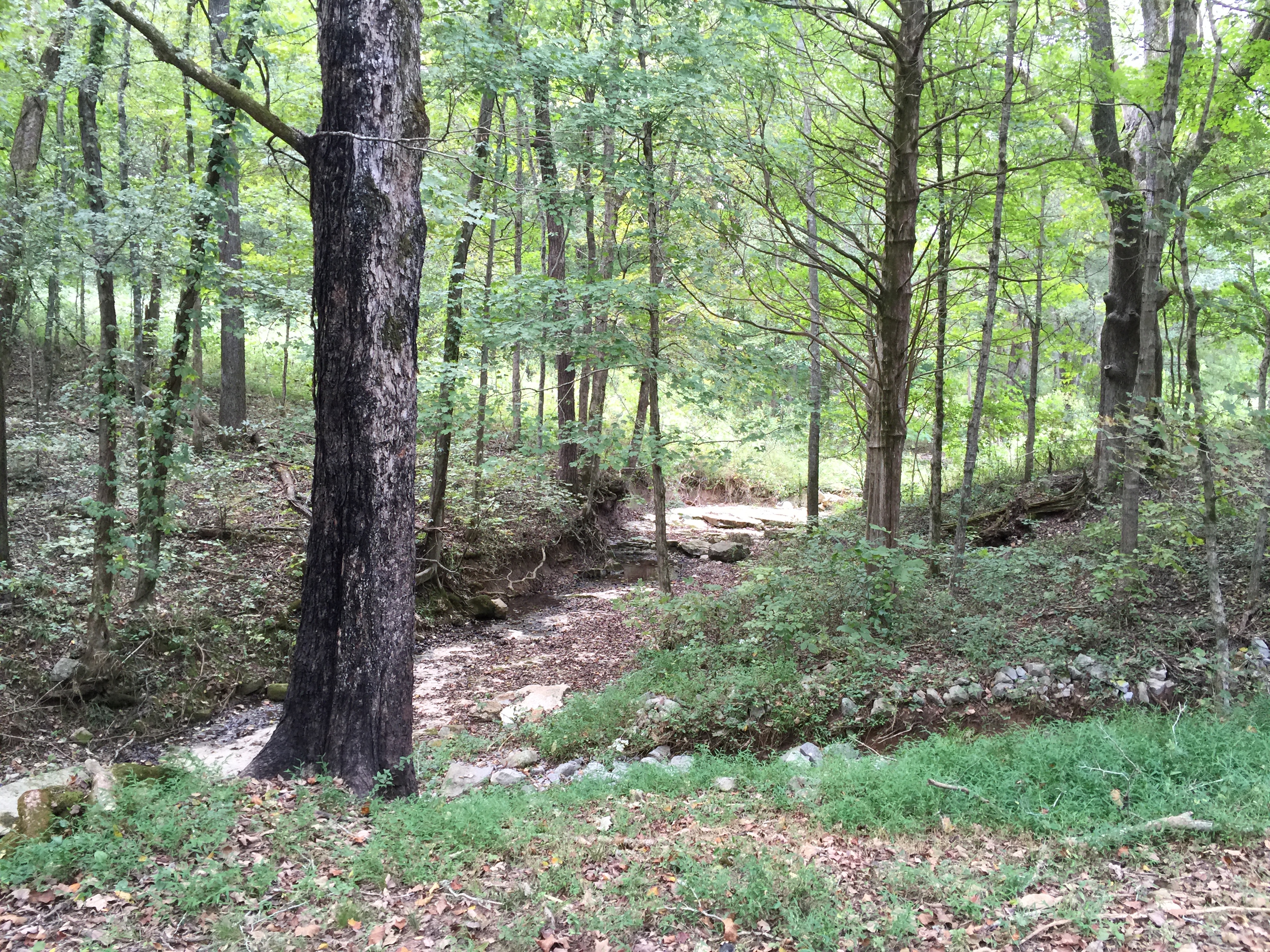 Where we walk and pray
