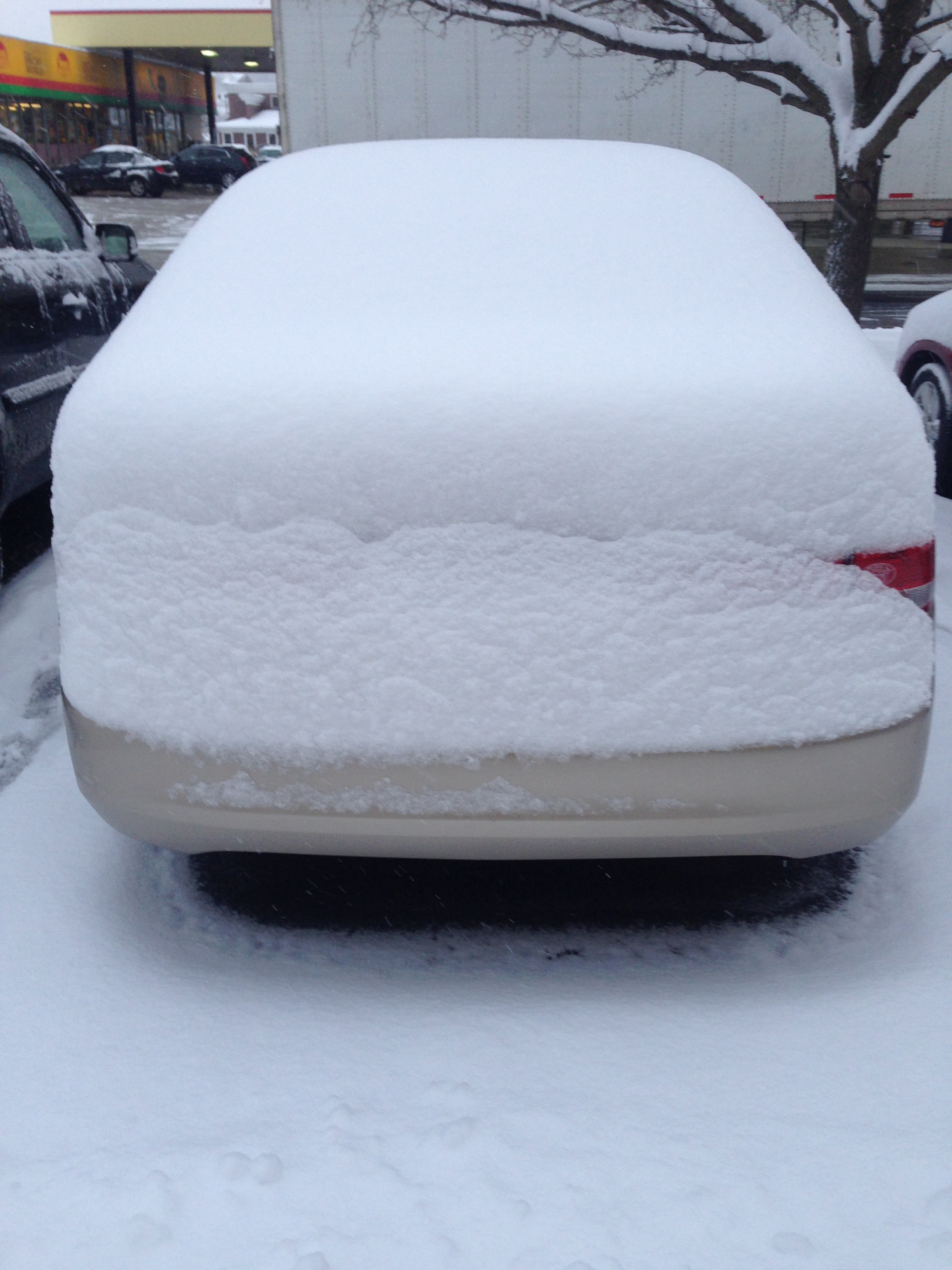 My car this morning. Cajuns cannot handle this.